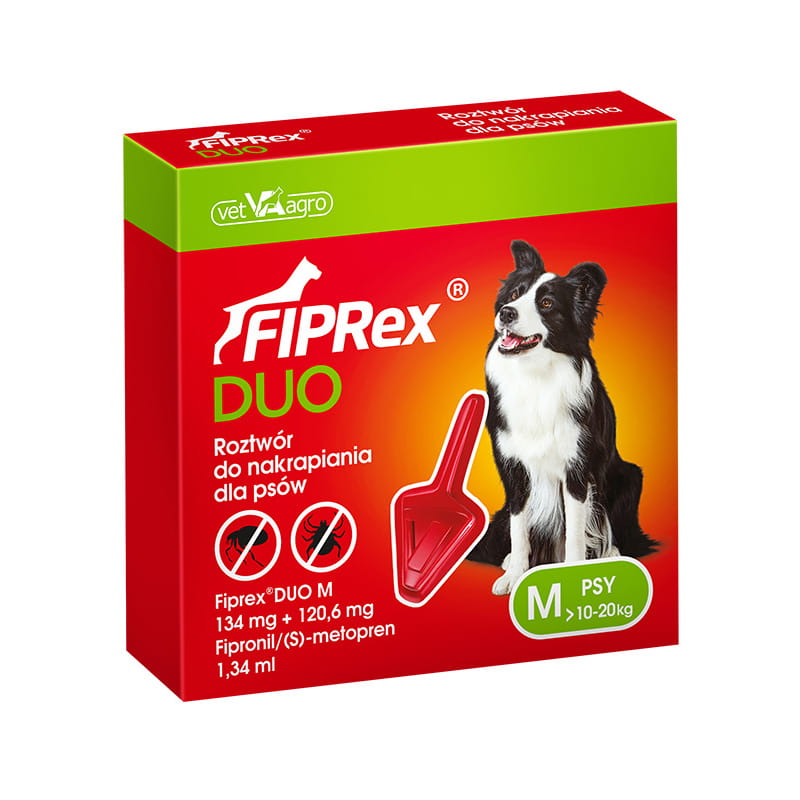 DUO M.jpg